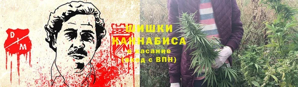 PSILOCYBIN Баксан