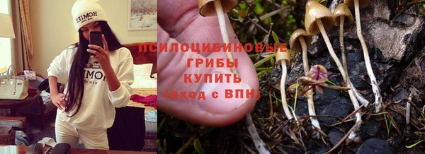 дмт Арсеньев