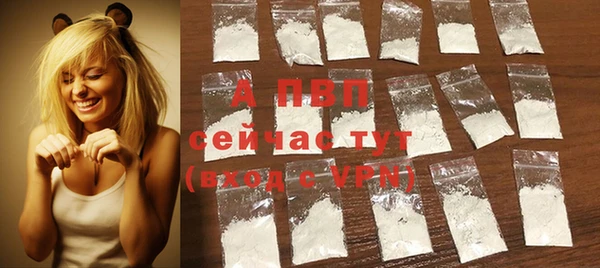 PSILOCYBIN Баксан